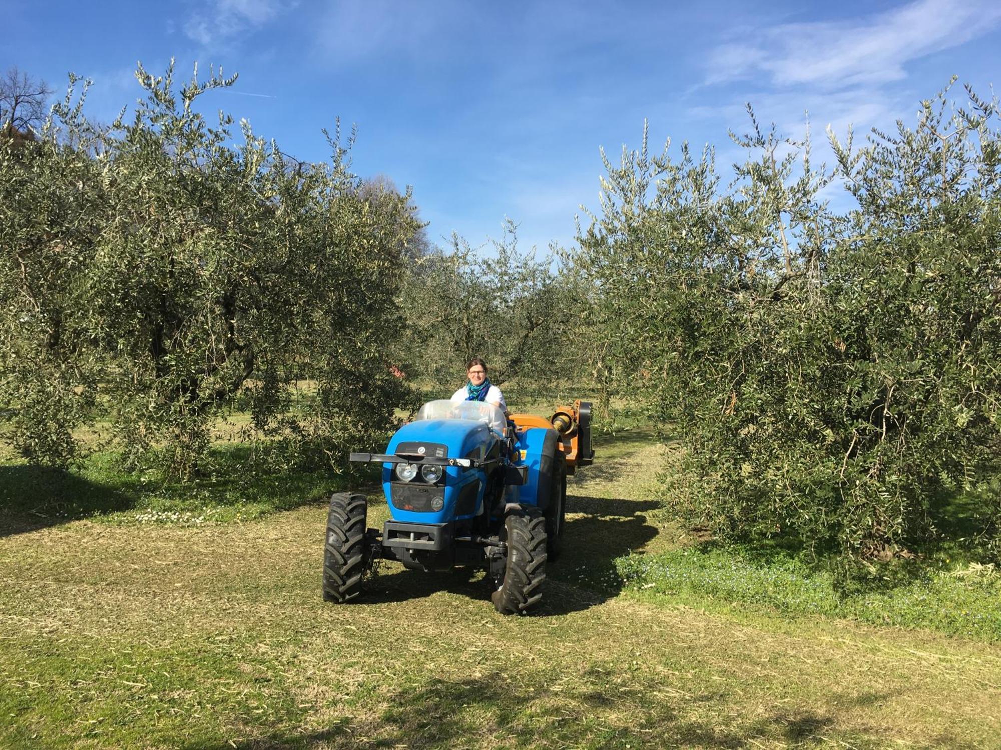 Agriturismo Nonna Bettina Moniga del Garda Exterior foto