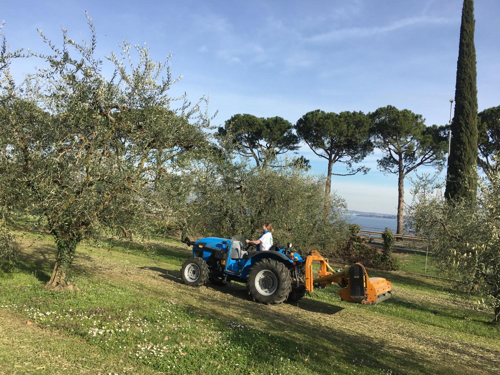 Agriturismo Nonna Bettina Moniga del Garda Exterior foto